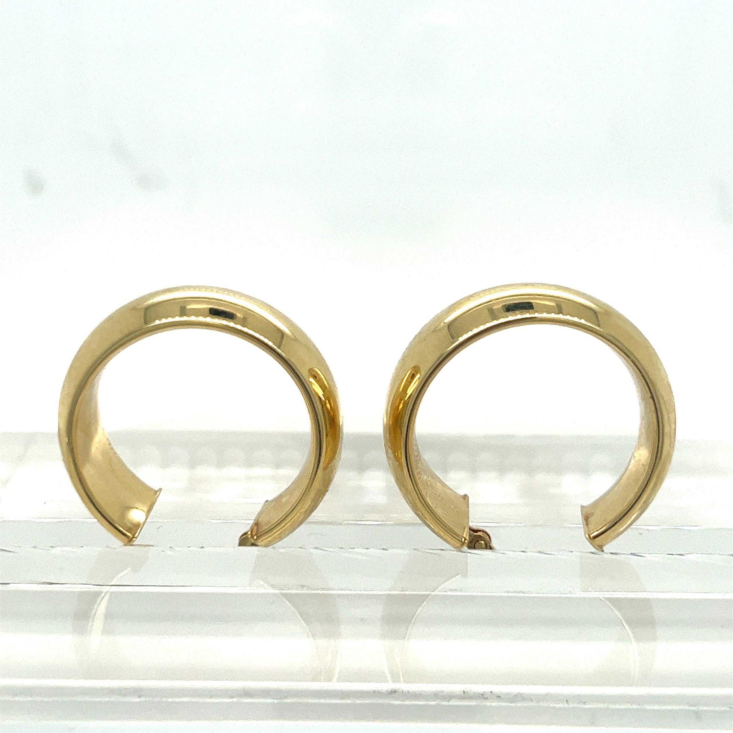 CHUBBY HOOP EARRINGS